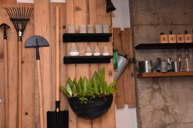 Kitchen Yard on Saturday Night